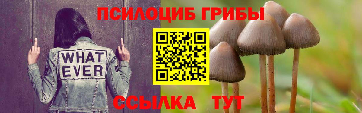 Галлюциногенные грибы Magic Shrooms  Галлюциногенные грибы GOLDEN TEACHER  Вход с VPN  продажа наркотиков  Мыски 