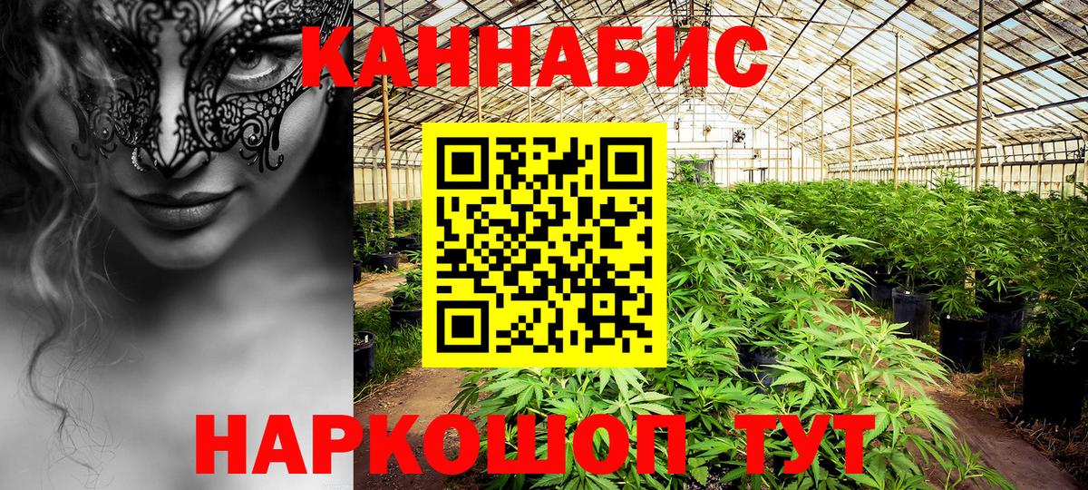 Бошки Шишки THC 21% Мыски